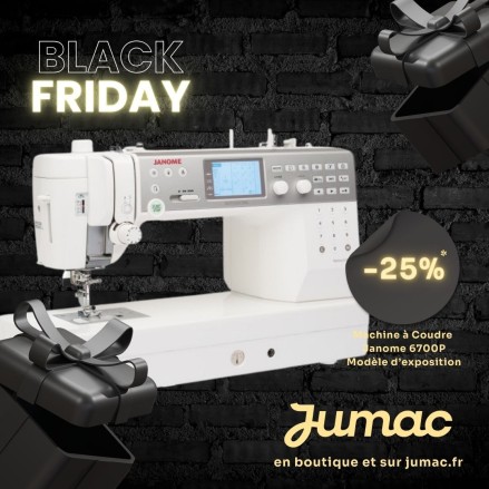 Machine à Coudre Janome 6700P
