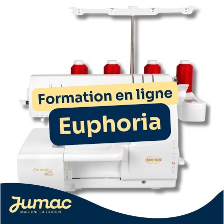 Formation en ligne recouvreuse BabyLock Euphoria